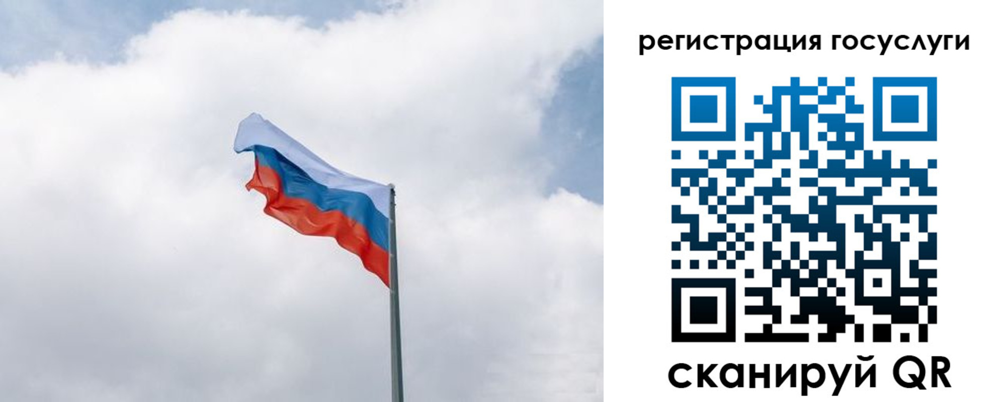 найти адрес прописки в Мурманске